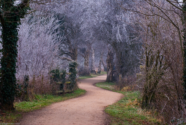 Fairy Tale Road